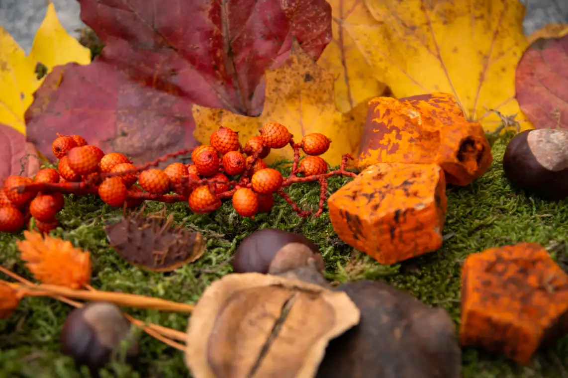 Warme oranjerode tinten van herfstblad, bes en kastanje op een bedje van mos.