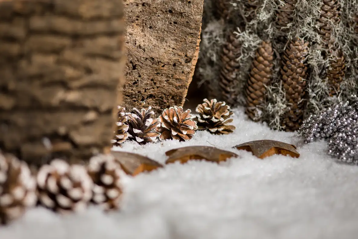 Een winters tafereeltje met o.a. white tip dennenappels en kokossterren en zilveren besjes in de sneeuw.