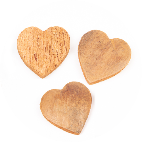 Kokosnoot harten van 5 cm, naturel